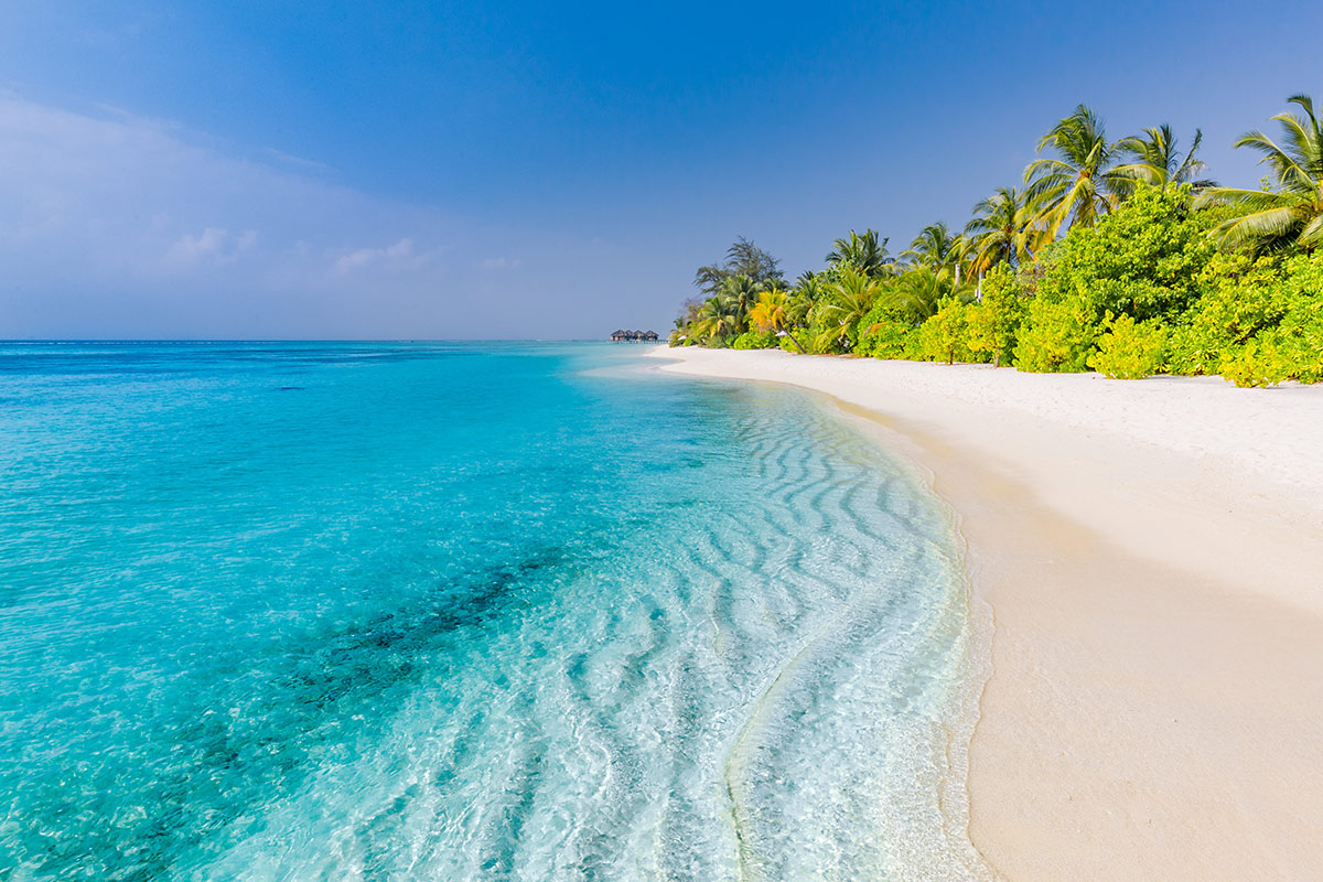 Anezi Tower Hotel & Apartments